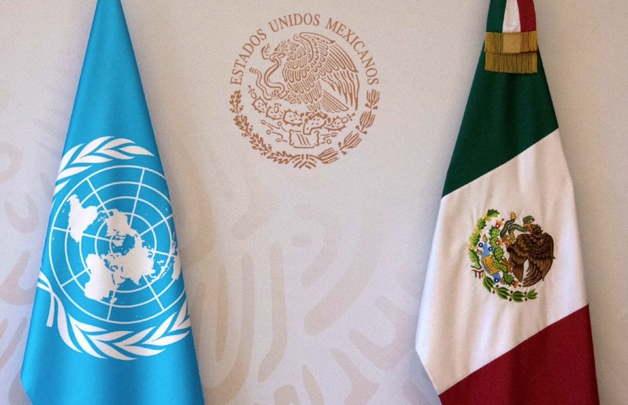 ONU inicia procedimiento contra desapariciones en México